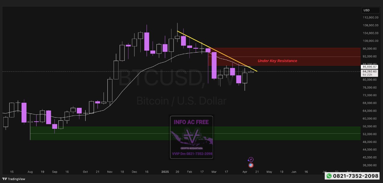 BTC INSIGHT